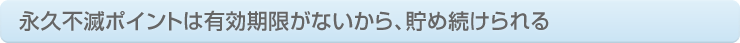 �i�v�s�Ń|�C���g�͗L���������Ȃ�����A���ߑ�������