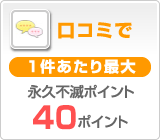 口コミで1件あたり最大永久不滅ポイント30ポイント