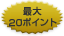 �ő�20�|�C���g