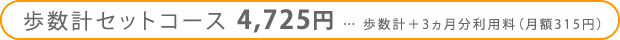 �����v�Z�b�g�R�[�X4,725�~�c�����v�{3���������p���i���z315�~�j