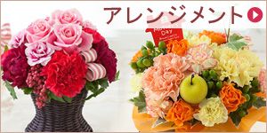 �A�����W�����g