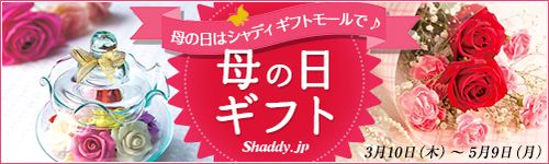 ��@�́@���̓V���f�B�M�t�g���[���Ł� ��@�́@���M�t�g Shaddy.jp 3��10���i�؁j�`5��9���i���j