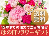 12���܂ł̒����œ������͂� ��@�́@���t�����[�M�t�g ��������