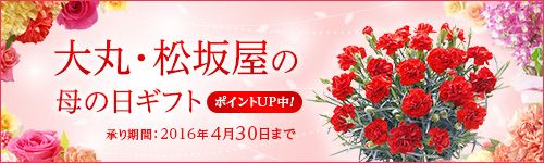 ��ہE���≮�̕�@�́@���M�t�g �|�C���gUP���I ������ԁF2016�N4��30���܂�