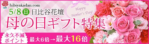 hibiyakadan.com 5/8(��) ����J�Ԓd ��@�́@���M�t�g���W �i�v�s�Ń|�C���g �ő�6�{���ő�16�{