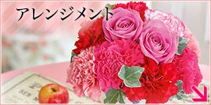 �A�����W�����g