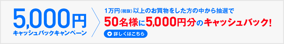 5,000~ LbVobNLy[ 1~iŔjȏ̂̒璊I 50l5,000~̃LbVobN! ڂ͂