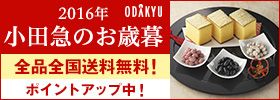 2016N ODAKYU c}̂Ε SiSI |CgAbvI