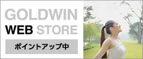 GOLDWIN WEB STORE |CgAbv