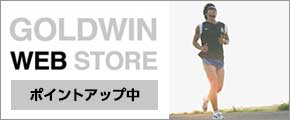 GOLDWIN WEB STORE |CgAbv