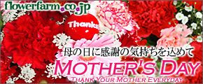 flowerfarm.co.jp ̓Ɋӂ̋C߂ MOTHER'S DAY THANK YOUR MOTHER EVERYDAY