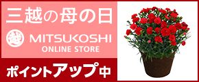 Oz̓̕ MITSUKOSHI ONLINE STORE |CgAbv