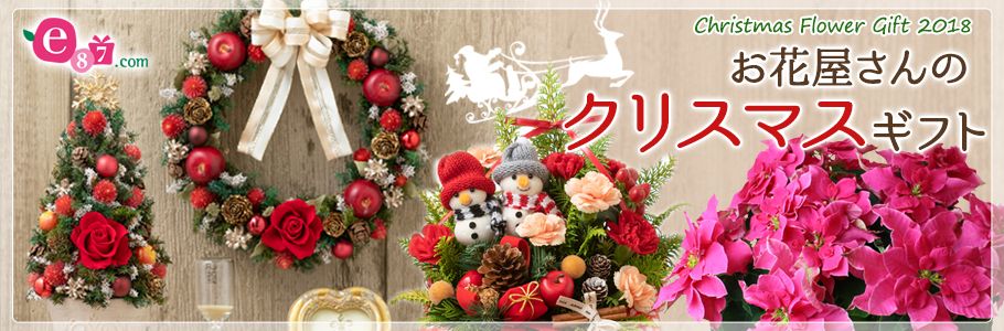 e87.com Christmas Flower Gift 2018 ԉ NX}XMtg