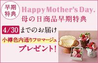 T Happy Mother's Day. ̓iT 4/30܂ł̂͂ MFʂt}[W v[gI