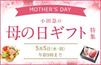 MOTHER'S DAY c}̓̕MtgW 55iEjj ߑO9܂