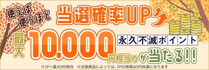 ő10,000~̉ivsŃ|CgLy[