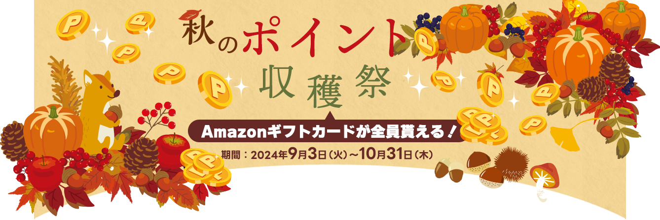 H̃|Cgn AmazonMtgJ[hႦIԁF2024N93i΁j~1031i؁j