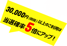 [Ly[e] ԒɃGg[̏AubNtCf[WŏЉĂVbvɂāAv10,000~iŔjȏApƁAI100lɃANV|Cg10,000|Cg v[gI30,000~iōjȏ̂p͓Im5{ɃAbvI