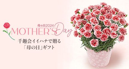 ̓2024 MOTHER'S Day CCniőu̓vMtg