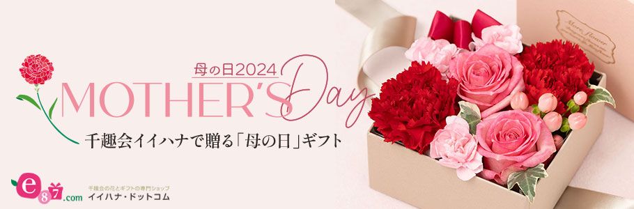 ̉ԂƃMtg̐Vbv CCnihbgR ̓2024 MOTHER'S Day CCniőu̓vMtg