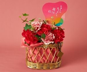 y̓zu[oXPbgM bh