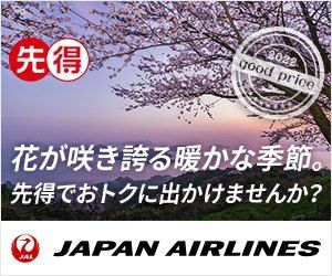 JAL　日本航空　国内線航空券