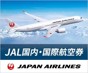 JAL国内・国際航空件