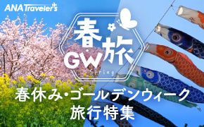 ANA Travelers cA[ 2019NGW10Axm! ߂̂\񂪒fRXX!!