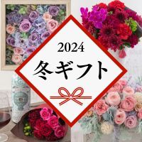 [JԒd] 2024~Mtg