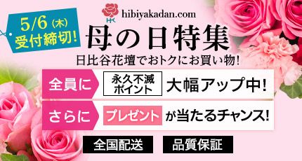 母の日特集 ｜セゾンポイントモール