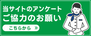 TCg̃AP[g͂̂肢 炩