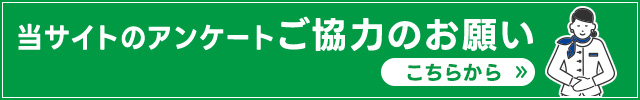 TCg̃AP[g͂̂肢 炩