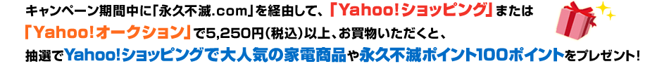 Ly[ԒɁuZ]|Cg[voRāAuYahoo!VbsOv܂́uYahoo!I[NVv5,250~iōjȏAƁAIYahoo!VbsOőlC̉ƓdiivsŃ|Cg100|Cgv[gI