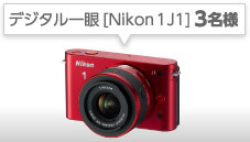 fW^ [Nikon 1 J1] 3l