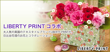 LIBERTY PRINT R{