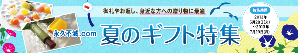 ���߂̏����������I���������Ȃǂ��`�F�b�N �Z�]���|�C���g���[�� �ẴM�t�g���W ���W���� 2013�N5��28���i�΁j〜2013�N7��29���i���j