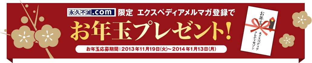 Z]|Cg[ GNXyfBA}Ko^łNʃv[gI NʉԁF2013N1119i΁j~2014N113ij