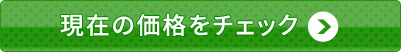 ݂̉i`FbN