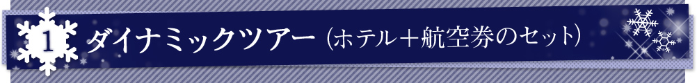 1 _Ci~bNcA[ize{q󌔂̃Zbgj