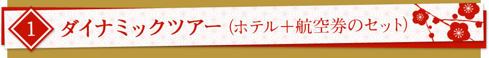 1 _Ci~bNcA[ize{q󌔂̃Zbgj