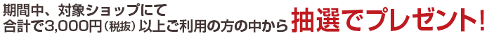 ԒAΏۃVbvɂčv3,000~iŔjȏゲp̒̕璊IŃv[gI