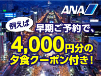 ANA SKY WEB TOUR