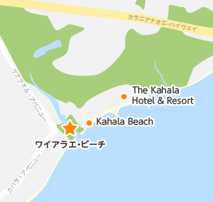 Waialae Beach CAGEr[`