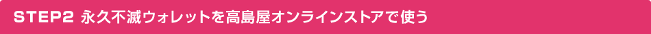 STEP2 ivsŃEHbgICXgAŎg