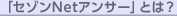 uZ]NetAT[vƂ́H
