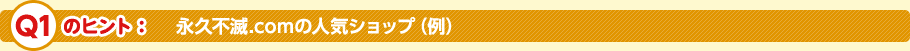 Q1̃qg@ivs.com̐lCVbvij