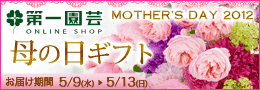 第一園芸 ONLINE SHOP 花の日ギフト お届期間 5/9(水)〜5/13(日)